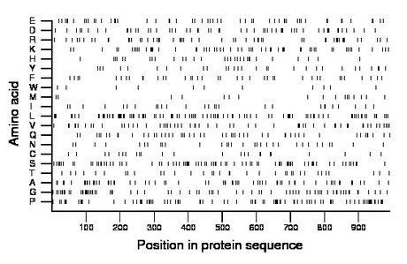 amino acid map