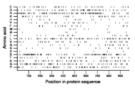 amino acid map