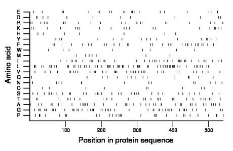 amino acid map