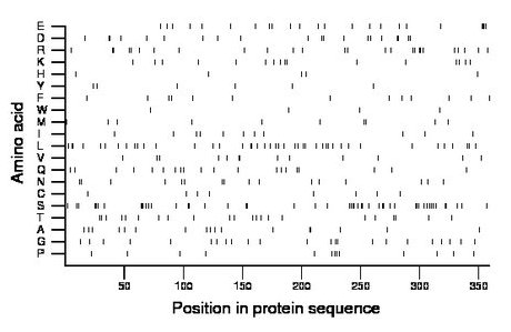 amino acid map