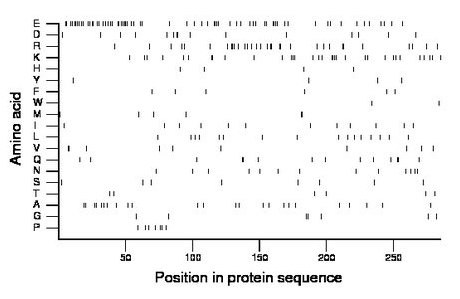 amino acid map