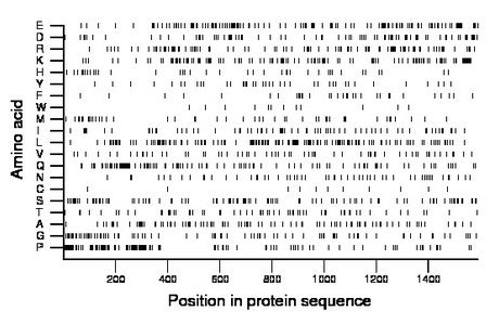 amino acid map