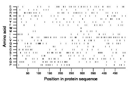 amino acid map