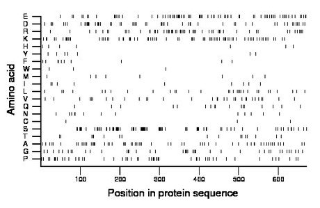 amino acid map