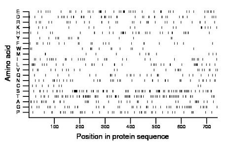 amino acid map