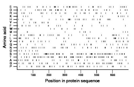 amino acid map