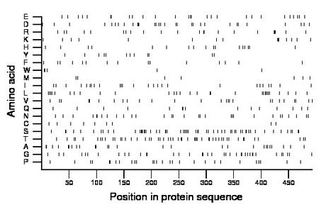 amino acid map