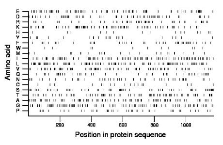 amino acid map