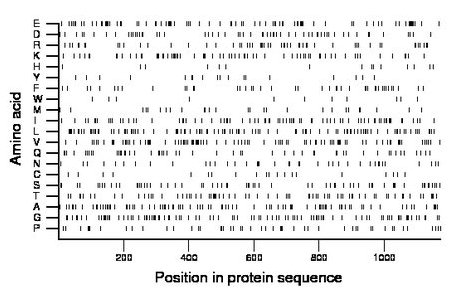 amino acid map