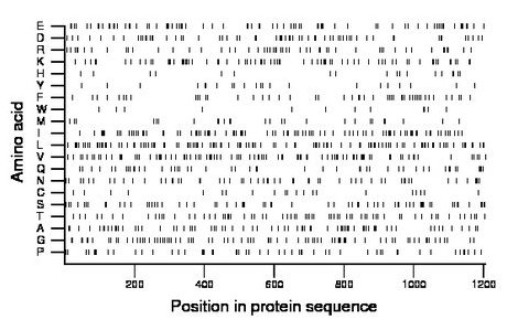 amino acid map