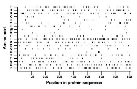 amino acid map