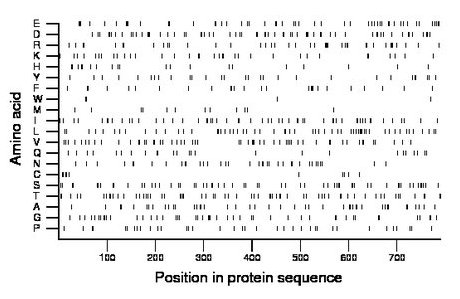 amino acid map