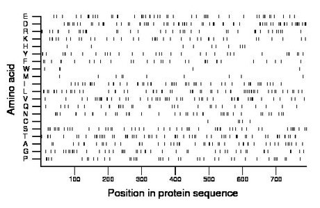 amino acid map