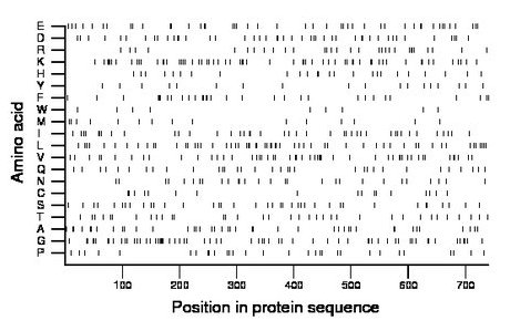 amino acid map