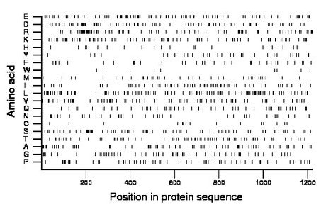 amino acid map