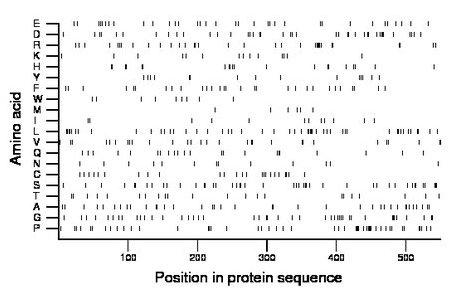 amino acid map