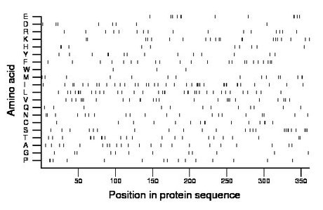 amino acid map