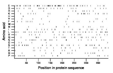 amino acid map