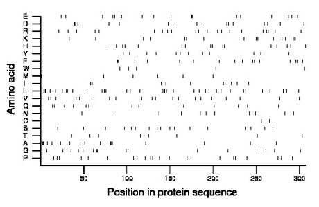 amino acid map