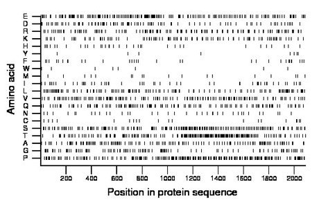 amino acid map