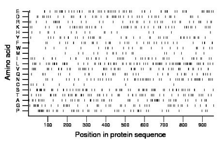 amino acid map