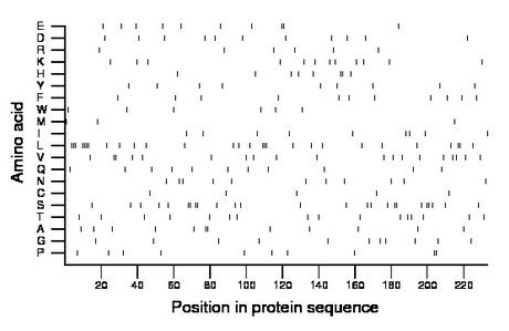 amino acid map