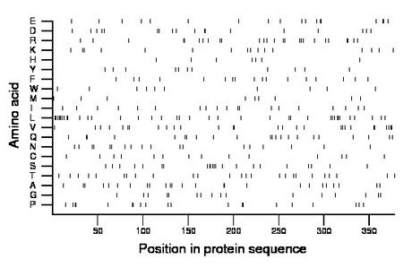 amino acid map