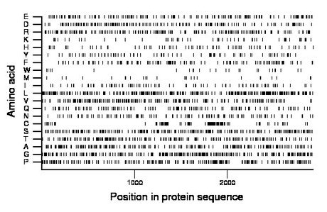 amino acid map