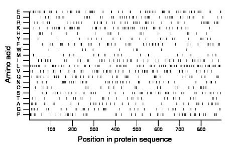 amino acid map