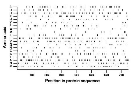 amino acid map