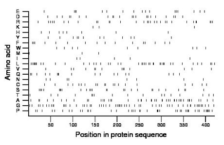 amino acid map