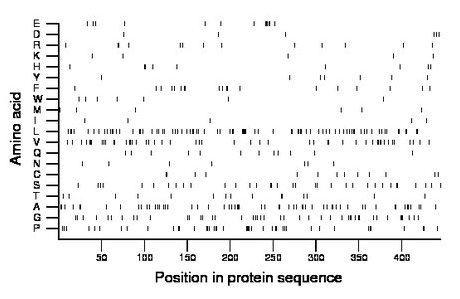 amino acid map