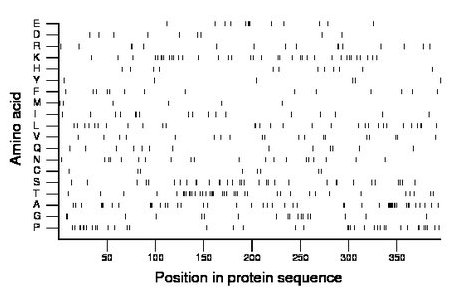 amino acid map