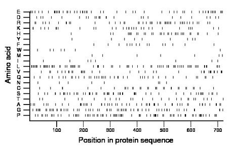 amino acid map