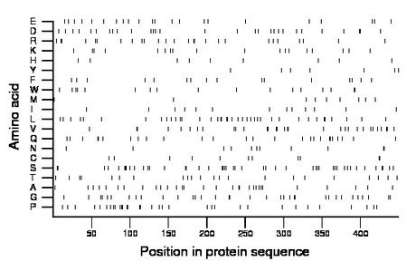 amino acid map