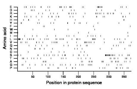 amino acid map