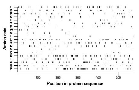 amino acid map