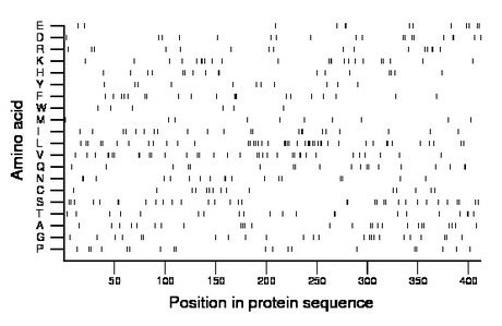 amino acid map