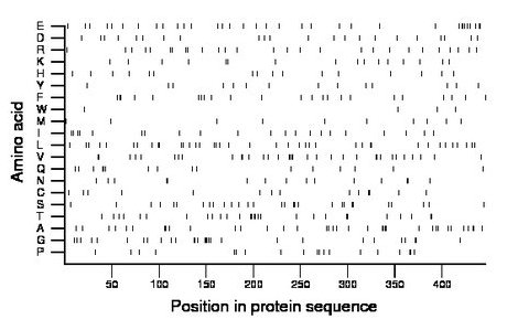 amino acid map