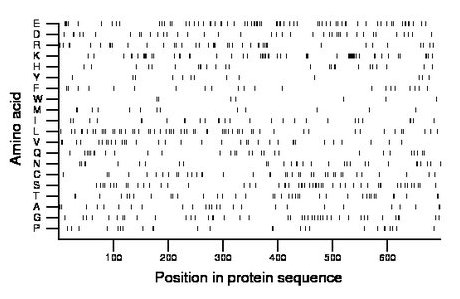 amino acid map