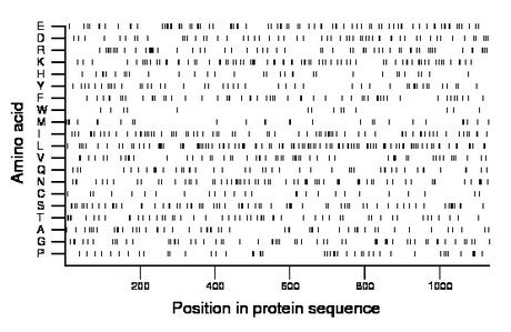 amino acid map