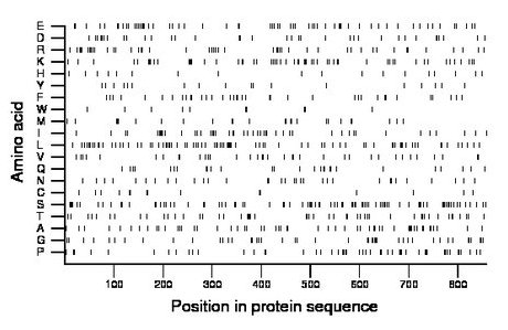 amino acid map