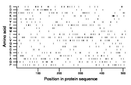 amino acid map