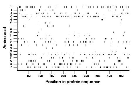 amino acid map