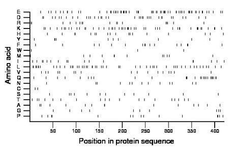 amino acid map