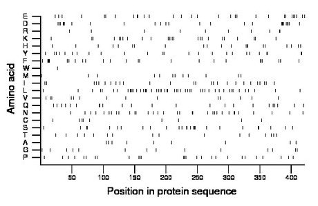 amino acid map