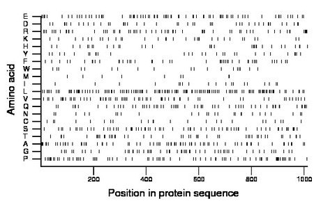 amino acid map