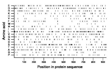 amino acid map