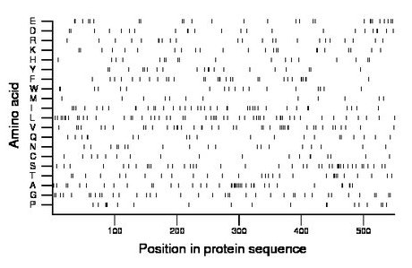 amino acid map