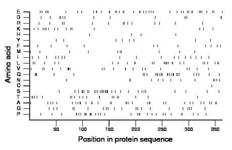 amino acid map